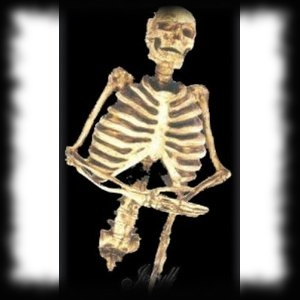 Skeleton Torso Haunted House Halloween Prop