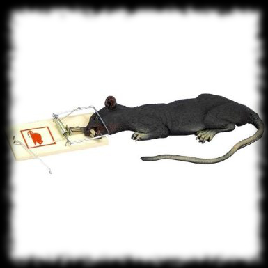 Animated rat in a trap Halloween creepy prank idea