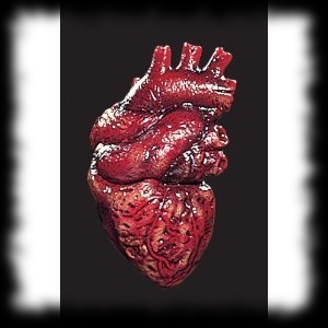 Halloween Party Ideas Human Zombie Heart Decoration Prop